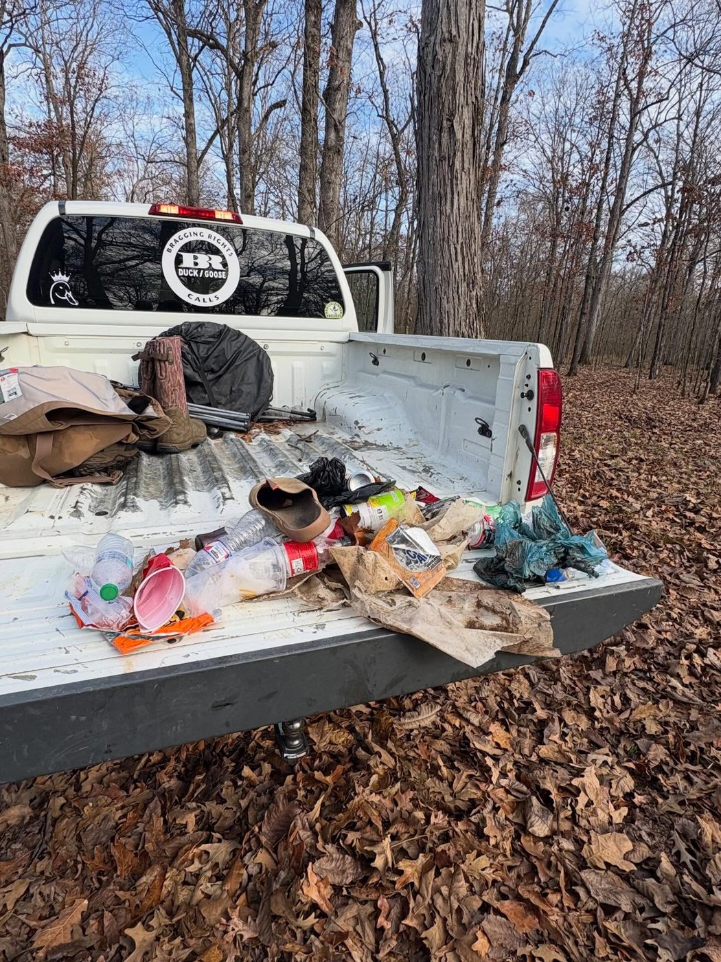 Public Timber Project in the field